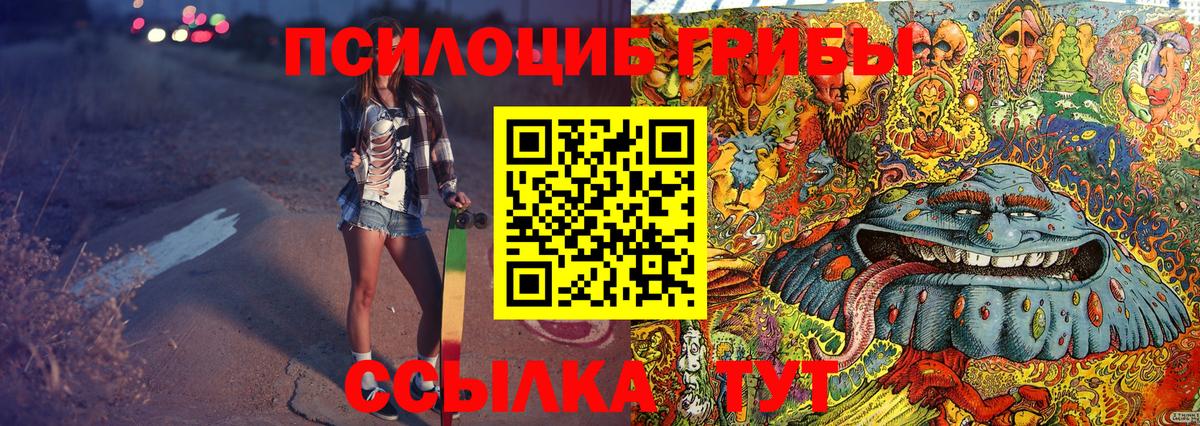 Ангарск  Псилоцибиновые грибы GOLDEN TEACHER  Галлюциногенные грибы GOLDEN TEACHER  Вход с VPN 